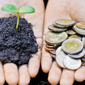 Ideazione e sviluppo attività di Corporate Social Responsability (CSR).